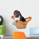 Sad beagle puppy in the basket Wall Mural