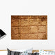 Mayan Hieroglyphs Wall Mural