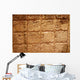 Mayan Hieroglyphs Wall Mural