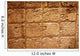Mayan Hieroglyphs Wall Mural