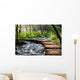 Forest Stream Scenery Wall Mural