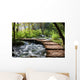Forest Stream Scenery Wall Mural