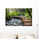 Forest Stream Scenery Wall Mural