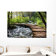 Forest Stream Scenery Wall Mural