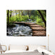 Forest Stream Scenery Wall Mural