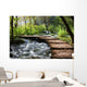Forest Stream Scenery Wall Mural