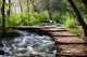 Forest Stream Scenery Wall Mural