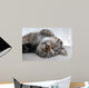 Chat Couch