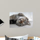 Chat Couch