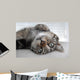 Chat Couch