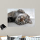 Chat Couch