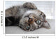 Chat Couch