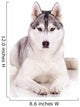 Huskey Dog Wall Decal