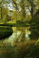 Green Scenery Wall Decal