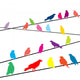 Colored crows on wires Wall Decal