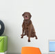Chocolate Labrador Wall Decal