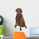 Chocolate Labrador Wall Decal