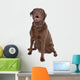 Chocolate Labrador Wall Decal