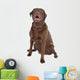 Chocolate Labrador Wall Decal