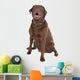 Chocolate Labrador Wall Decal