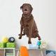 Chocolate Labrador Wall Decal