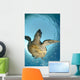 One Male Hawksbill Turtle Wall Mural