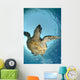One Male Hawksbill Turtle Wall Mural