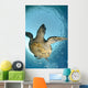 One Male Hawksbill Turtle Wall Mural