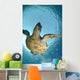 One Male Hawksbill Turtle Wall Mural