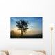 Tree Is Fog Wall Decal