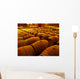 Wine Barrels