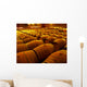Wine Barrels