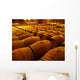 Wine Barrels