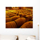Wine Barrels
