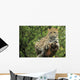 Leopard Wall Mural