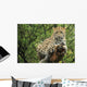 Leopard Wall Mural