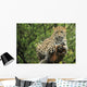 Leopard Wall Mural