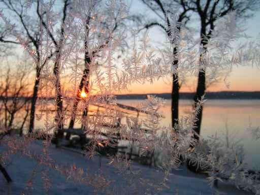 Beautiful Winter Morning Wall Decal Design 7