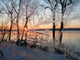 Beautiful Winter Morning Wall Decal Design 7