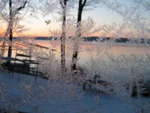 Beautiful Winter Morning Wall Decal Design 6