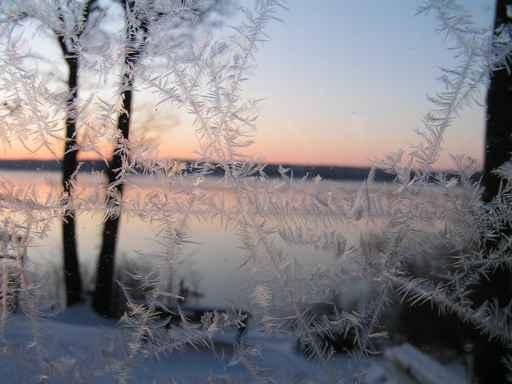Beautiful Winter Morning Wall Decal Design 5