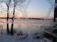 Beautiful Winter Morning Wall Decal Design 5