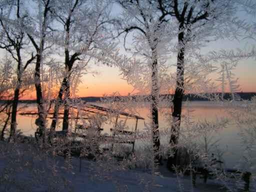 Beautiful Winter Morning Wall Decal Design 4