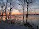 Beautiful Winter Morning Wall Decal Design 4