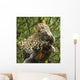 Leopard Wall Mural