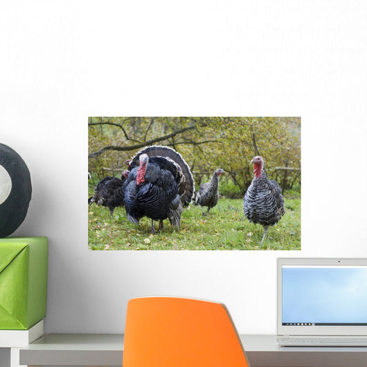 Turkey in Yard Wall Mural