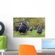 Turkey in Yard Wall Mural