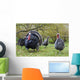 Turkey in Yard Wall Mural