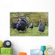Turkey in Yard Wall Mural