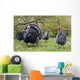 Turkey in Yard Wall Mural
